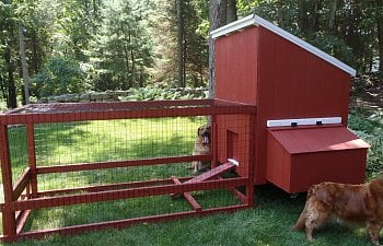 Medium Homemade Coop