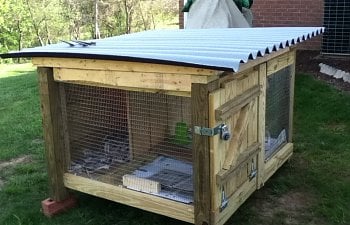 A Good Coop