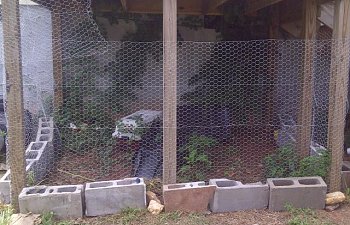 Straymagnets Chicken Coop