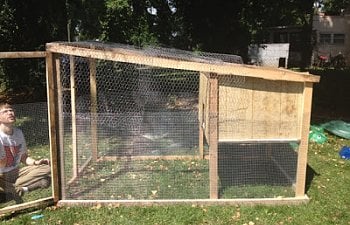 "What The Cluck?" Our tractor coop on a shoestring budget