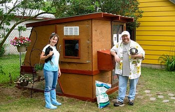 Tc Bokboks Chicken Coop