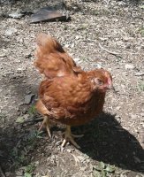 20170529_153741.jpg