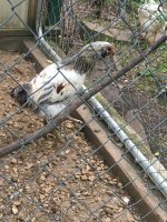 IMG_7584.JPG