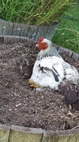 20170528_173256(0) (1).jpg