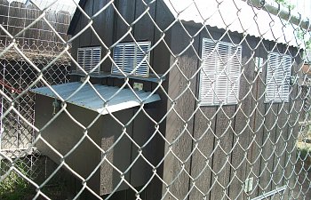 The Hen Hotel