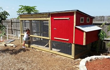 Our Florida Coop!