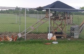 Would this be considered an open air coop?