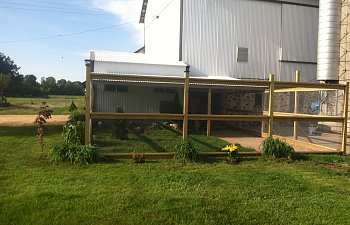 High Performance Hoof Care The Chicken Chalet