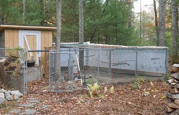 Chicken coop made with some 4X8 wood pallets ( pic heavy)