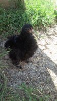 20170530_103818.jpg