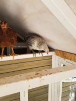 20170524_153445.jpg