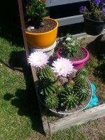 20160513_110400.jpg