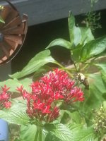 20160729_142345.jpg