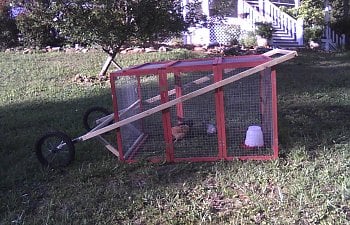 Lazy Womans Automatic Self Operating Chicken Coop