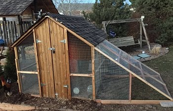 Our large coop for 6 hens