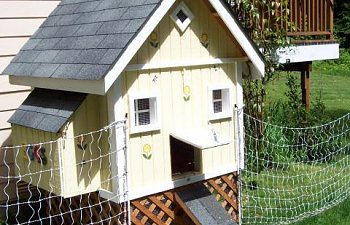 Bainbridgecoops Chicken Coop