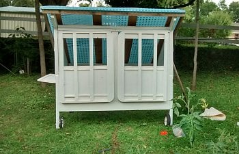TWIN BED Chicken Coop--CHEAP, CHEEP!