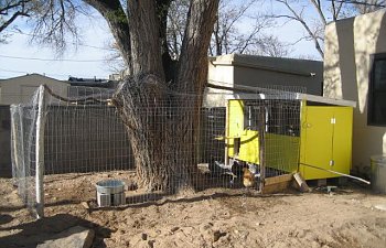 Al Jan124s Chicken Coop