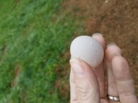 20170530_202239.jpg 20170530_202239.jpg