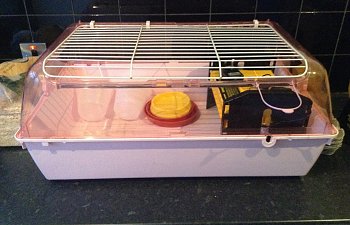 Yorkshire coops guinea cage brooder