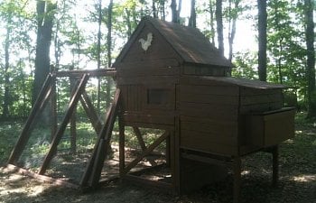 Swing Set Chicken Coop