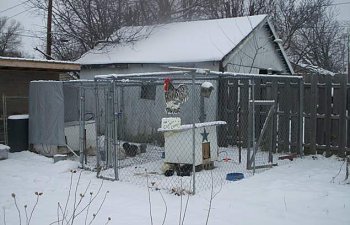 Thecochincoops Chicken Coop