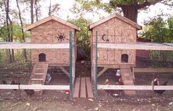Rcentners Coops Big And Small Chicken Coops