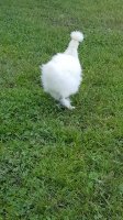 20170523_172837.jpg