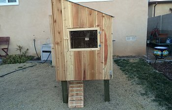 Little chicken coop in big city of Albuquerque