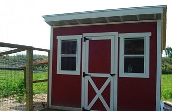 The Campbell Coop