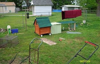 Talas Chicken Tractor Page