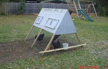 Birddawgs Chicken Coop Tractor