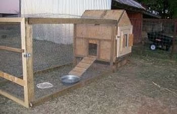 Chicken Coop 240