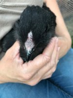 10 - Black - H.jpg 10 - Black - H.jpg
