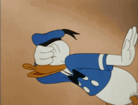 A75E1982-6098-4A5F-A7F9-C9722A794AF6-3591-000002C2045F12AF.gif