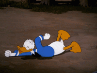 D4C433A2-AB2A-47D7-921B-8DC3CFCB6543-3591-000002C20CD76CF8.gif