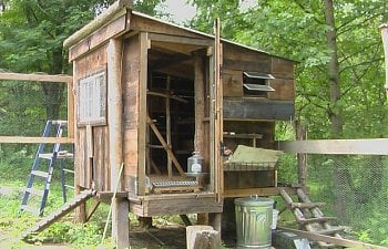 Motoclowns Chicken Coop