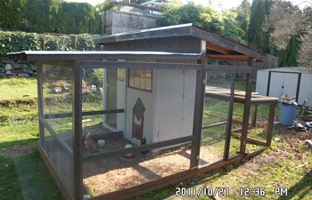 Hmmcc123s Chicken Coop