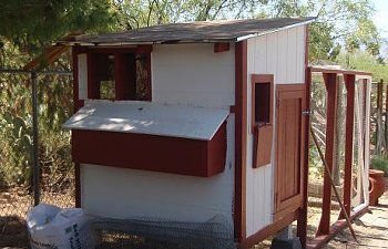 Jmcdtucsons Chicken Coop