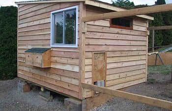 Yellowjacket's Chicken Coop