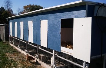 Jeb251s Chicken Coop