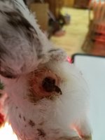 20170602_171435.jpg