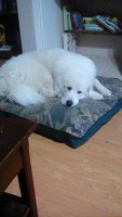 IMG_20170602_160035.jpg