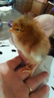20170602_103320.jpg