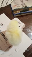 20170602_103123.jpg