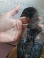 20170602_104547.jpg