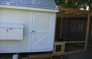 Consdrss Chicken Coop