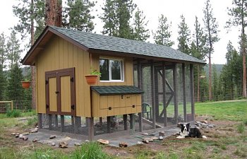 Montanasandys Chicken Coop