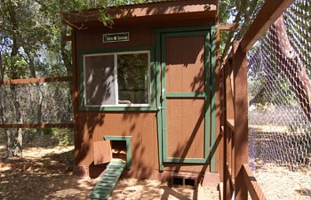 Our Hen House Lovinmychickiess Chicken Coop