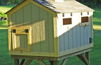 Suzannaskis Chicken Coop